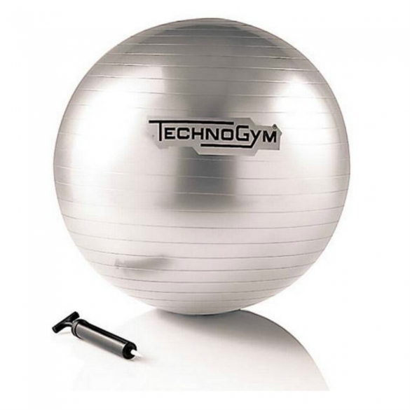 Technogym Wellness Ball Training 55 cm zilver TECHNOGYMBALL55